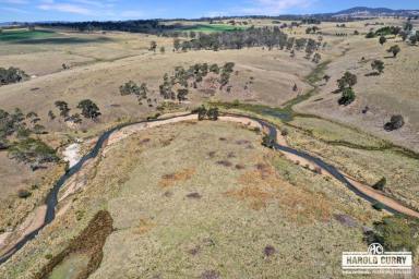 Lifestyle Sold - NSW - Tenterfield - 2372 - 'Donoghues' - Water Security & Location.....  (Image 2)