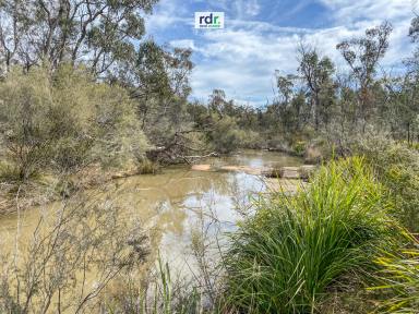 Lifestyle For Sale - NSW - Inverell - 2360 - NATURE BECKONS!  (Image 2)