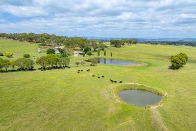 Other (Rural) For Sale - NSW - Brewongle - 2795 - “Don Lee” Fertile Grazing Country on Bathurst’s Doorstep  (Image 2)