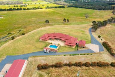 Lifestyle For Sale - NSW - Wagga Wagga - 2650 - Wagga's Finest Country Estate  (Image 2)