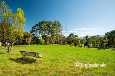 House Sold - VIC - Hoddles Creek - 3139 - YARRA VALLEY ESCAPE 5 ACRES APPROX  (Image 2)