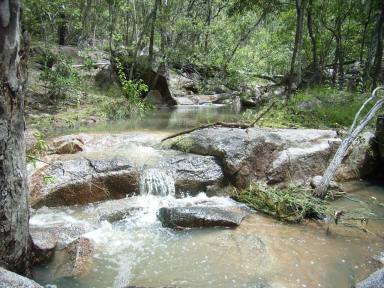 Lifestyle Sold - QLD - Eureka - 4660 - 112.6HA/278 ACRES OF NATURAL BEAUTY AND CABIN  (Image 2)