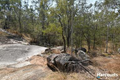 Lifestyle Sold - QLD - Eureka - 4660 - 112.6HA/278 ACRES OF NATURAL BEAUTY AND CABIN  (Image 2)