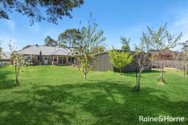 House For Sale - NSW - Robertson - 2577 - Hidden Gem on Over Half an Acre in Wonderful Robertson  (Image 2)