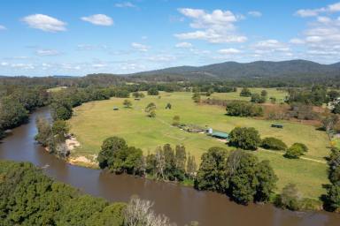 Livestock Sold - NSW - Port Macquarie - 2444 - Riverview - Camden Haven River Frontage situated on the door step of Kendall  (Image 2)