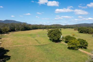 Livestock Sold - NSW - Port Macquarie - 2444 - Riverview - Camden Haven River Frontage situated on the door step of Kendall  (Image 2)
