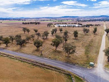 Mixed Farming For Sale - NSW - Appleby - 2340 - Productive Peel River Broiler Operation  (Image 2)