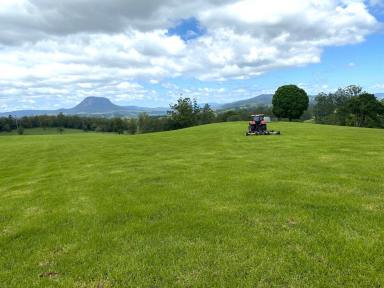 Livestock For Sale - NSW - Woodenbong - 2476 - "CLEARVIEW" WOODENBONG NSW  (Image 2)