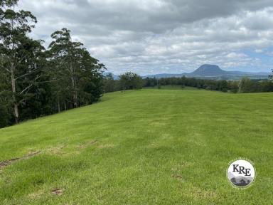 Livestock For Sale - NSW - Woodenbong - 2476 - "CLEARVIEW" WOODENBONG NSW  (Image 2)