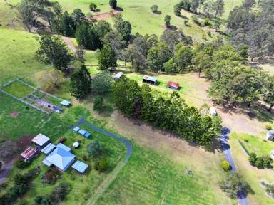 Livestock For Sale - NSW - Woodenbong - 2476 - "CLEARVIEW" WOODENBONG NSW  (Image 2)