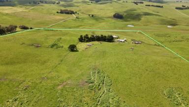 Livestock Sold - VIC - Henty - 3312 - Great value with plenty of potential  (Image 2)
