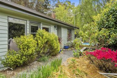 House Sold - TAS - Kingston - 7050 - 'WILLOWBROOK'  5 Acre Private Oasis, 10 Minutes From CBD  (Image 2)