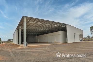 Industrial/Warehouse For Sale - VIC - Robinvale - 3549 - Impressive Industrial Warehouse  (Image 2)