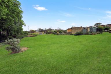 Residential Block For Sale - NSW - Tumut - 2720 - Vacant Block!  (Image 2)
