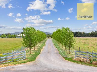 Lifestyle Sold - NSW - Goulburn - 2580 - Where Rural Living Redefines Elegance and Opportunity  (Image 2)