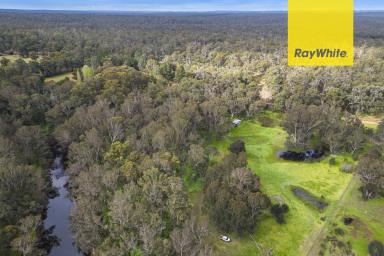 Lifestyle For Sale - WA - Nannup - 6275 - RARE LAND ON THE BLACKWOOD RIVER  (Image 2)