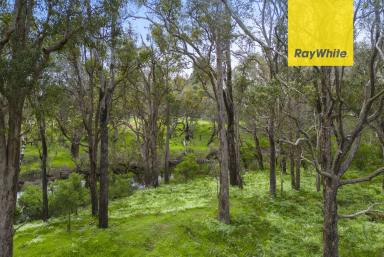 Lifestyle For Sale - WA - Nannup - 6275 - RARE LAND ON THE BLACKWOOD RIVER  (Image 2)