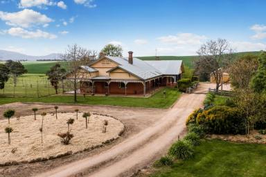 Mixed Farming Sold - VIC - Dobie - 3377 - "Callemondah" Tatyoon North Road, DOBIE VIC 381Ha (942Ac approx.)  (Image 2)