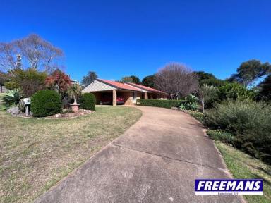 House For Lease - QLD - Kingaroy - 4610 - Lovely Established Home  (Image 2)