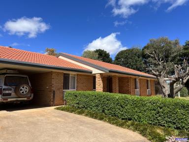 House For Lease - QLD - Kingaroy - 4610 - Lovely Established Home  (Image 2)