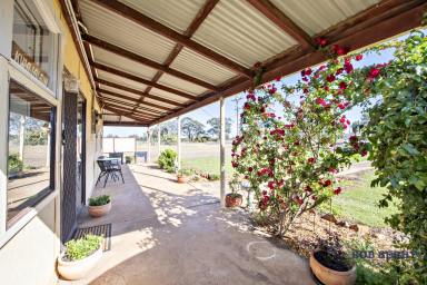 House Sold - NSW - Eumungerie - 2822 - Affordable Small Farm in Village of Eumungerie  (Image 2)