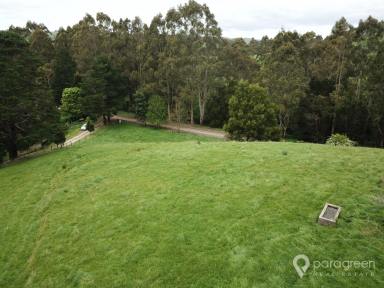 Residential Block For Sale - VIC - Toora - 3962 - PEACEFUL OUTLOOK  (Image 2)
