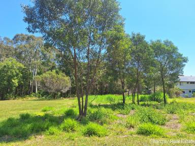 Residential Block For Sale - QLD - Macleay Island - 4184 - Great block available now  (Image 2)