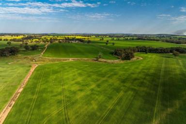 Cropping For Sale - NSW - Stockinbingal - 2725 - Prime mixed farming held for over 115 years  (Image 2)