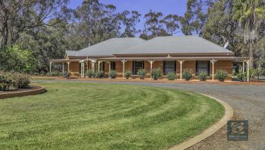 House For Sale - VIC - Echuca - 3564 - Tranquil Murray River lifestyle living awaits.  (Image 2)