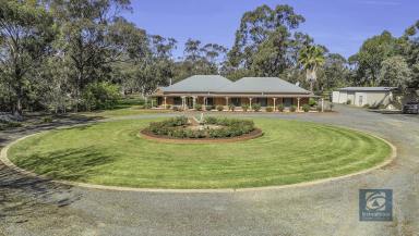 House For Sale - VIC - Echuca - 3564 - Tranquil Murray River lifestyle living awaits.  (Image 2)