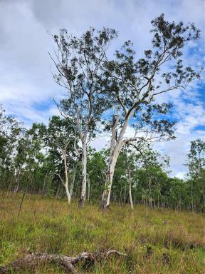 Residential Block Sold - QLD - Millstream - 4888 - 30 Fabulous Acres  (Image 2)