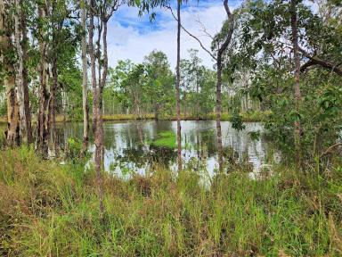 Residential Block Sold - QLD - Millstream - 4888 - 30 Fabulous Acres  (Image 2)