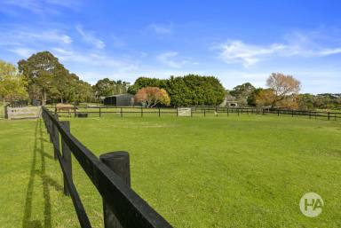 Acreage/Semi-rural Sold - VIC - Boneo - 3939 - Perfectly Positioned Property  (Image 2)