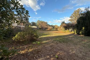 Residential Block For Sale - VIC - Avenel - 3664 - Best Block in Town  (Image 2)