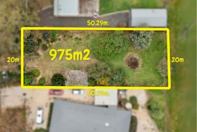 Residential Block For Sale - VIC - Avenel - 3664 - Best Block in Town  (Image 2)