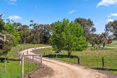 House For Sale - SA - Hatherleigh - 5280 - Stunning & Immaculate Family Home on 7 Acres  (Image 2)