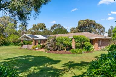 House For Sale - SA - Hatherleigh - 5280 - Stunning & Immaculate Family Home on 7 Acres  (Image 2)