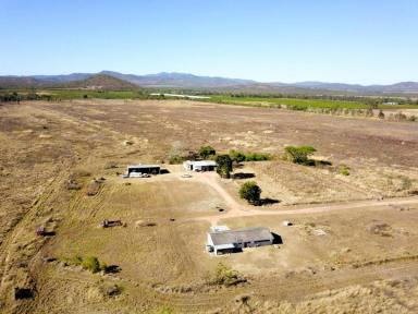 Cropping For Sale - QLD - Mutchilba - 4872 - PARADA station  (Image 2)