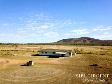 Cropping For Sale - QLD - Mutchilba - 4872 - PARADA station  (Image 2)