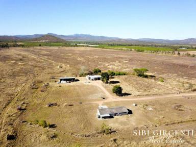 Cropping For Sale - QLD - Mutchilba - 4872 - PARADA station  (Image 2)