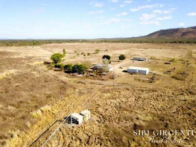 Cropping For Sale - QLD - Mutchilba - 4872 - PARADA station  (Image 2)