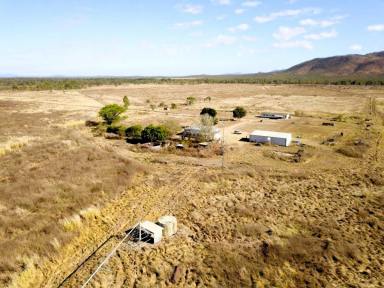 Cropping For Sale - QLD - Mutchilba - 4872 - PARADA station  (Image 2)