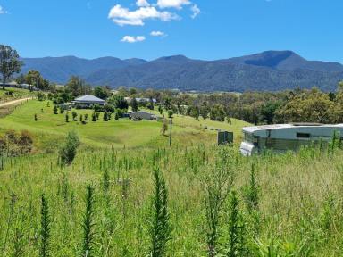 Residential Block Sold - NSW - Bemboka - 2550 - YOUR DREAM AWAITS IN BEMBOKA!  (Image 2)