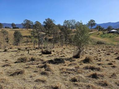 Residential Block Sold - NSW - Bemboka - 2550 - YOUR DREAM AWAITS IN BEMBOKA!  (Image 2)