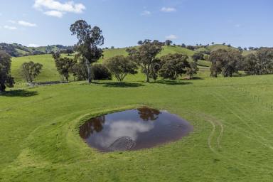 Residential Block For Sale - VIC - Bonnie Doon - 3720 - LIFESTYLE ACREAGE MINUTES FROM LAKE EILDON  (Image 2)