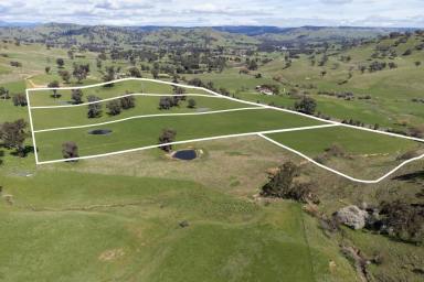 Residential Block For Sale - VIC - Bonnie Doon - 3720 - LIFESTYLE ACREAGE MINUTES FROM LAKE EILDON  (Image 2)