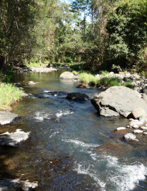 Residential Block Sold - NSW - Kyogle - 2474 - BY THE CREEK  (Image 2)