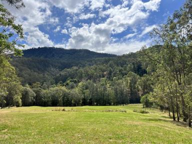 Residential Block Sold - NSW - Kyogle - 2474 - UNDER CONTRACT  (Image 2)