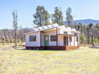 Acreage/Semi-rural For Sale - NSW - Bemboka - 2550 - YOUR GREEN LIVING OFF-GRID HOME ON 6 ACRES IN BEMBOKA  (Image 2)