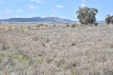 Mixed Farming Sold - QLD - Yalangur - 4352 - VALLEY VIEW 
When Quality Country, Versatility, Privacy, Views and an Irrigation License count  (Image 2)